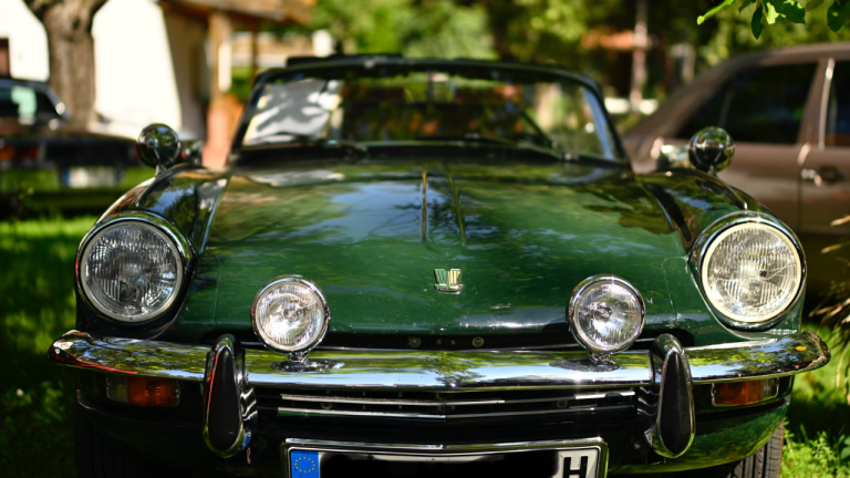 Kulturgewächshaus Birkenried - Oldtimer Treff (2)